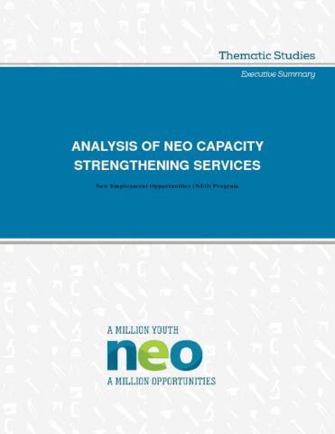 Analysis of NEO Capacity Strengthening Services (Executive Summary) cover